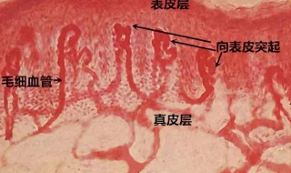 如何消除红血丝（如何消去红血丝）