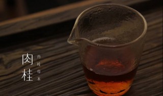 肉桂的正确泡水方法（肉桂的正确泡水方法视频）