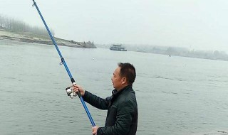 钓鱼线组搭配钓多大鱼（钓鱼选多大的线组）