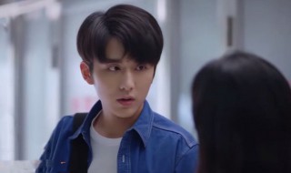 电视剧以家人之名贺子秋是谁（以家人之名贺子秋找她妈说清楚是哪集）