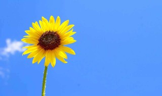 qq签名简短有深意七字学生 个性签名七个字