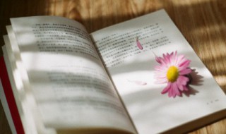文艺有韵味的句子 文艺而有韵味的句子