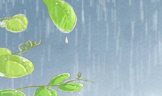 下雨防雨怎么解决（下雨防雨怎么解决的）