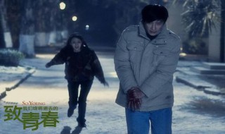电影致青春结局 电影致青春结局郑微和谁在一起