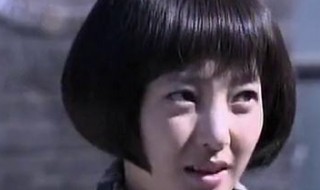 八路军剧情介绍（八路军剧情介绍大全）