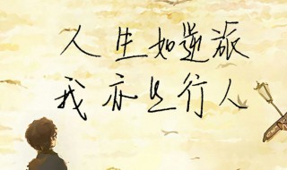 励志鸡汤 励志鸡汤语录