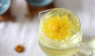 菊花泡水喝有什么好处（菊花泡水喝有什么好处和坏处）