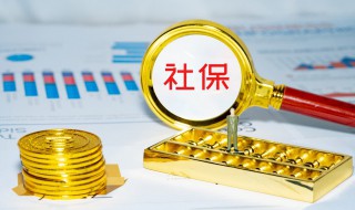 买社保有什么好处（买社保有什么好处和坏处）