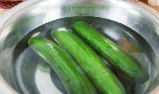 冰箱怎么保存青瓜（冰箱怎么保存青瓜好吃）