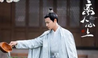 离人心上小说是什么