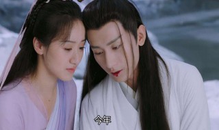 司凤的真实身份 褚璇玑和司凤的真实身份