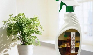 甲醛怎么去除 甲醛怎么去除最有效植物