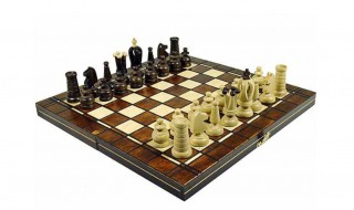 国际象棋怎么玩新手入门 象棋怎么下新手教程
