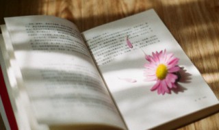 睡觉前发个幽默的说说 睡觉前发朋友圈的经典语句