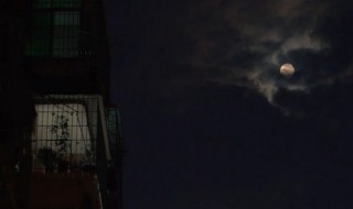 想念一个人的暖心说说 下雨想念一个人的暖心说说