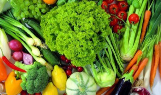 夏天吃什么菜最好（夏天吃什么菜最好菜谱）