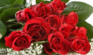 教师节礼物送什么最好 教师节礼物女老师送什么最好