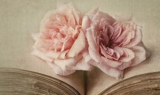 哪有什么岁月静好的完整诗句是（岁月静好,山河无恙,你我皆安）