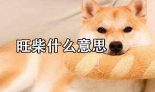 旺柴是什么意思（女生发旺柴怎么回复）