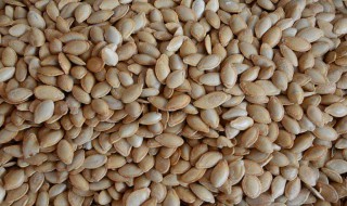南瓜子有什么功效和作用 南瓜籽的作用与功效