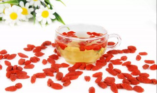 枸杞子和什么泡水喝补肾壮阳 枸杞配什么喝补肾壮阳最好