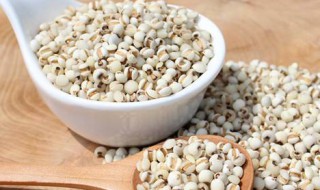 吃什么食物能去湿气 吃什么食物可以去湿气效果最好