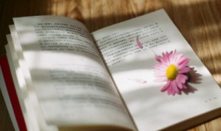 朋友圈旅游心情短语 旅游的句子 朋友圈