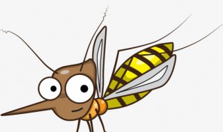 蚊子咬了以后如何止痒（蚊子咬了怎么消痒）