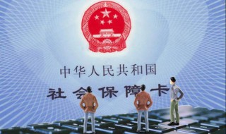 个人灵活就业社保怎么缴纳 个人灵活就业社保怎么缴纳费用