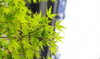 翻开以前照片心情短语（致回不去的青春的句子）