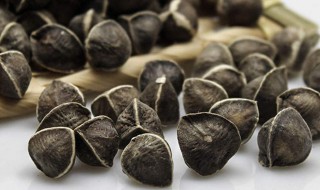 辣木籽都有什么功效 辣木籽都有什么功效治什么病