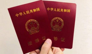 领证需要带什么证件（领证需要带什么证件2023）