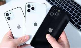 苹果电话备忘录恢复方法（苹果电话备忘录恢复方法是什么）