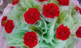 教师节送什么花好送几朵（教师节送什么花送几朵合适）