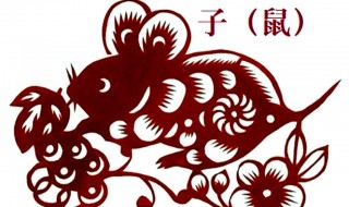 本命年要注意什么属鼠 本命年要注意什么属鼠的人