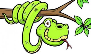 梦到蛇了是什么预兆（男生梦到蛇了是什么预兆）