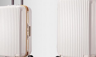 行李箱密码忘了怎么开锁（行李箱密码忘了怎么开锁没有凹槽）