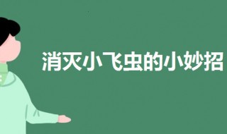 家里有小飞虫怎么消灭 家里卫生间有小飞虫怎么消灭