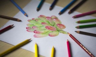 水溶性彩铅和油性彩铅的区别（水溶彩铅和油性彩铅哪个好）