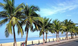 什么月份适合去三亚（什么月份适合去三亚旅行）