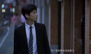平凡的荣耀结局是什么（平凡的荣耀结局是什么意思）