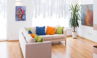 怎样去室内快速除甲醛（怎样去室内快速除甲醛的方法）