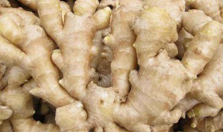 姜还是老的辣还是新的辣（姜还是老的辣是什么效应）