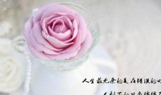 今天太累了的说说（今天太累了的说说图片）