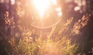 忙碌的生活很充实的说说 充实又忙碌一天的正能量句子