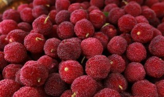 杨梅泡酒有什么功效 杨梅泡酒有保质期多长