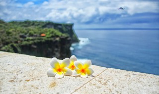 感恩所有的遇见说说（感恩所有的遇见说说心情佳句集锦13句）