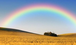 关于彩虹的唯美句子（看到彩虹适合发朋友圈的句子）