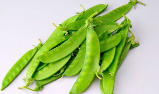 荷兰豆长大了就叫豌豆吗 荷兰豆长大了就叫豌豆吗?
