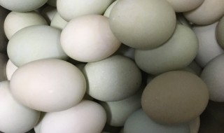 如何清洗鸭蛋 如何清洗鸭蛋壳